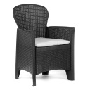 КРЕСЛО, САДОВОЕ СТУЛЬЕ, АНТРАЦИТОВЫЕ СТУЛЬЯ, ПОДУШКА