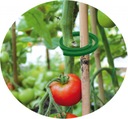 Зажимы для крепления растений, 50 шт., диаметр 3см. Зажимы для томатов.