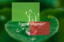 Вітамінно-Мінеральні Препарати Forest Vitamin 300Mg 100Kaps