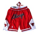 Баскетбольные шорты Chicago Bulls с вышивкой