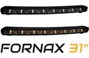 FORNAX 31