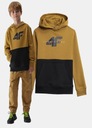 СПОРТИВНАЯ ТОЛСТОВКА С КАПЮШОНОМ ДЛЯ МАЛЬЧИКОВ 4F