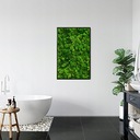 Картина из мха для украшения из мха 52x72см