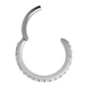 CoCr NF hinged segment ring 1,2x11 WH m03 conch Marka Koltat