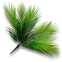 ИСКУССТВЕННЫЙ ПАЛЬМОВЫЙ БУКЕТ ИЗ ПАЛЬМОВЫХ ЛИСТЬЕВ ПАЛЬМОВЫЕ ЛИСТЬЯ В БУКЕТЕ ПИК REAL TOUCH