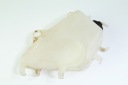 YAMAHA MT 125 14-19 CISTERN EXPANDING  photo 6