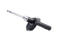 RIDEX 854S0780 AMORTISSEUR GAZEUX ENTRETOISE SUSPENSIONS PRAWOphoto 15