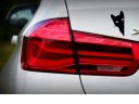 STICKER WITHOUT TLA NA CAR MOTORCYCLE COFFEE BOXES WYGLADAJACY KOTEK 18 X 9,7 CM  photo 6