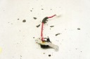 TV236 LEXUS RX III HAUT-PARLEUR PORTES AVANTphoto 5