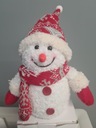 Светящийся светодиодный снеговик 25см.