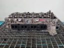 CULASSE ARBRES MERCEDES W246 2.2 CDI 651930photo 10