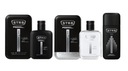 STR8 RISE SET 3 шт. EDT100ml + ASL100ml + DNS75ml