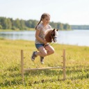 ХОБІХОРС КІНЬ НА ПАЛИЦІ А3 RIBELLE КОРИЧНЕВИЙ + КАНТАР І ВІЖКИ В КОМПЛЕКТІ
