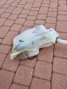 БАЧОК ОМЫВАТЕЛИ NISSAN QASHQAI J10 28910-JD900  фото 6