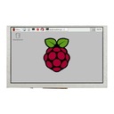 Экран DPI — LCD IPS 5 дюймов 800x480 пикселей для Raspberry Pi