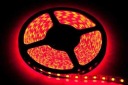 Красная светодиодная лента 5м 24Вт Eco-light EKPL891
