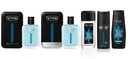 STR8 LIVE TRUE XXL НАБОР EDT50мл+ASL100мл+DNS85мл+СПРЕЙ150мл+ГЕЛЬ400мл