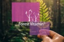 Травна Система Forest Vitamin 250G