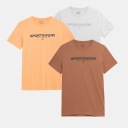 ФУТБОЛКА МУЖСКАЯ 4F НАБОР НАБОР 3 ПРЕДМЕТА