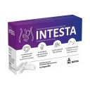INTESTA 60 КАПСУЛЫ ПРИ СИНДРОМЕ РАЗДРАЖИТЕЛЬНОГО КИШЕЧНИКА