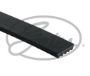 GATES 5PK525 BELT WEDGE MULTI-RIBBED photo 1 - milautoparts-fr.ukrlive.com