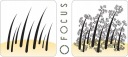 Засоби для ущільнення волосся FOCUS 35g — фото 7