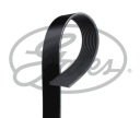 COURROIE PK GATES 10PK1340HDphoto 6