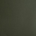 Полотно переплетное Canvas Extra R GREENTESSE 2137, ширина 1000 мм. ФСК Микс