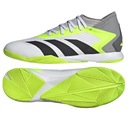 Кроссовки Adidas Predator Accuracy.3 IN GY9990 белые 48