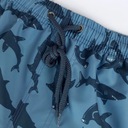 Мужские пляжные шорты SWIM SHORTS QUICK-DRY PREMIUM, XL