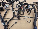 TRIUMPH TRIDENT 660 2021- WIRE SET ELECTRICAL  photo 8