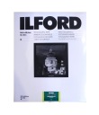Бумага Ilford Multigrade FB 12x16'/10 матовая