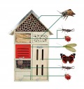 Отель отель для отеля Butterfly Hotel