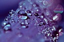MAKRO smiena triplet 4/40mm trioplan SWIRLY bokeh
