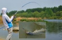 Телескопічний Miracle Fish 120G 2,4M