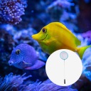 Сачки Osęka 20Szt