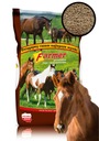 Фермерский КОРМ ДЛЯ ЛОШАДЕЙ 25 кг