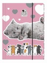 ФАЙЛ С ЛАСТИКОМ CLEO AND FRANK A4 CAT DERFORM 96404