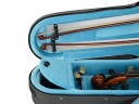 Артонус для скрипки легкая скрипка Cadem-Sport 21 CS-3