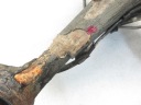 LEVER REAR RIGHT TOYOTA RAV 4 II  photo 6