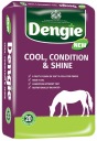 Половина DENGIE Condition Shine 20кг