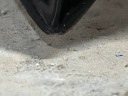 AUDI A5 8T CAPOT COUVERCLE MOTEURphoto 9