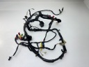 HONDA CBR 600 F3 95-98 R ELECTRICITY WIRE SET WIRING  photo 4