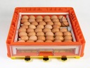АВТОМАТИЧЕСКИЙ ИНКУБАТОР DINO PLUS на 46 яиц выводной шкаф для птицы-курочки