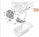 SMOK DE BOMBA ACEITES CITROEN PEUGEOT FORD 1.6 HDI TDCI 