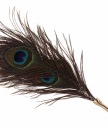 ПЕРЕЦЫ ДЛЯ СТИМУЛЯЦИИ TABOOM DONA PEACOCK TICKLER
