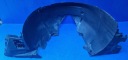 FENDER FLAP FRONT PERID LEFT PORSCHE PANAMERA 4S 970 2011  photo 10