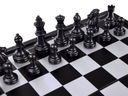 Magnetické šachy 2w1 logická hra GR0620 Maximálny počet hráčov 2