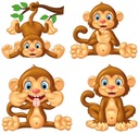 NAKLEJKI NA OKNO LUSTRO SZYBĘ MAŁPY MAŁPKI