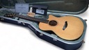 Furch Green Gc-SR LR Baggs SPE, электроакустический